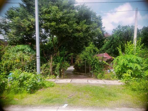 CHÍNH CHỦ CẦN BÁN 2 LÔ ĐẤT LIỀN KỀ – MẶT TIỀN ĐƯỜNG ĐT794