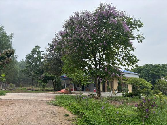 CHO THUÊ BIỆT THỰ NHÀ VƯỜN PHƯỚC TÂN – CÁCH KCN GIANG ĐIỀN CHỈ 2,5 KM