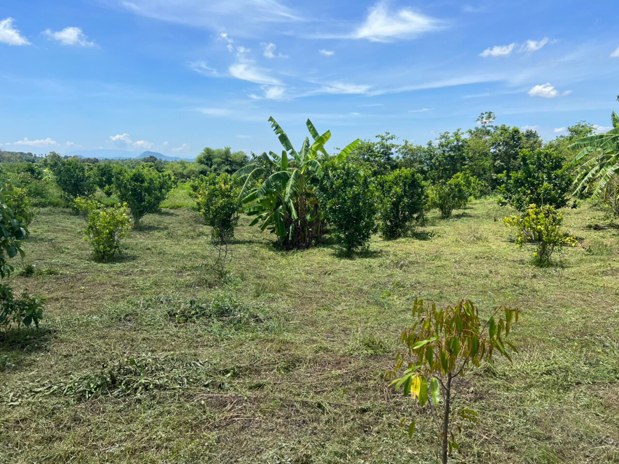 chinh chu can ban gap lo dat tai ap tan hoa- xa bao binh