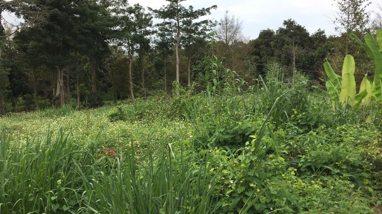 chinh chu can ban nhanh – dat 2 mat tien duong le a, p. binh loc, tp. long khanh, dong nai