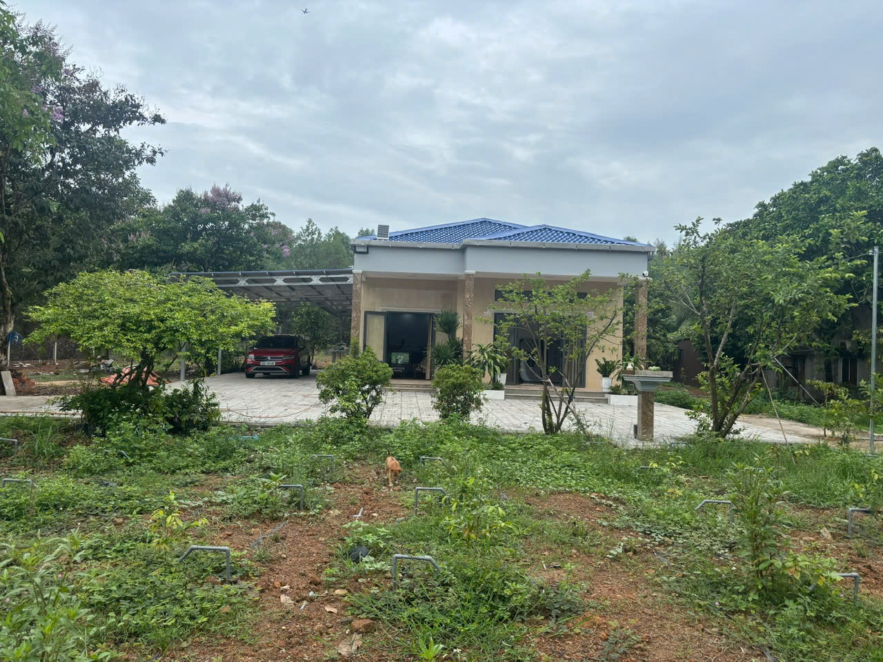 cho thue biet thu nha vuon phuoc tan – cach kcn giang dien chi 2,5 km